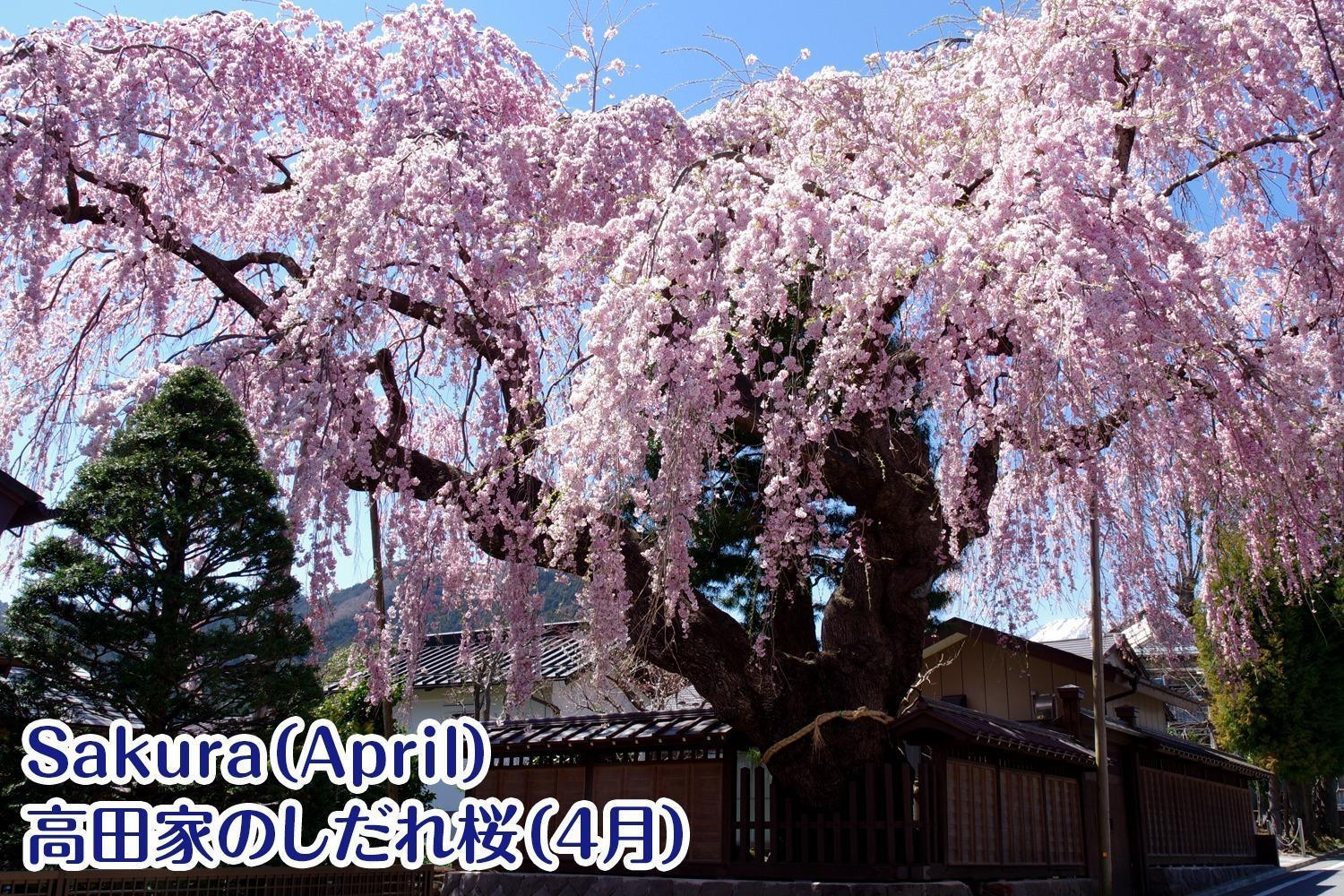 Nikko Stay House Arai - Vacation Stay 14988V Exteriör bild